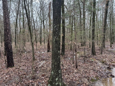 7.5 Acres For Sale, Heber Springs, AR near Greers Ferry Lake - image 17