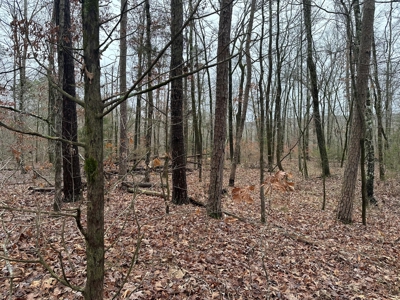 7.5 Acres For Sale, Heber Springs, AR near Greers Ferry Lake - image 15