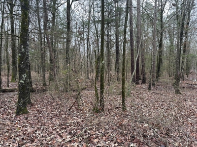 7.5 Acres For Sale, Heber Springs, AR near Greers Ferry Lake - image 18