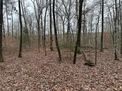 7.5 Acres For Sale, Heber Springs, AR near Greers Ferry Lake - image 13