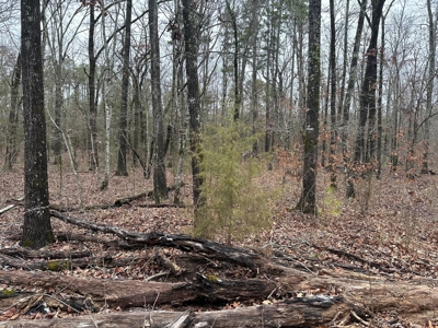 7.5 Acres For Sale, Heber Springs, AR near Greers Ferry Lake - image 9