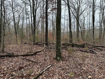 7.5 Acres For Sale, Heber Springs, AR near Greers Ferry Lake - image 12