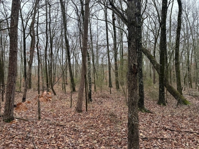 7.5 Acres For Sale, Heber Springs, AR near Greers Ferry Lake - image 14