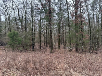 7.5 Acres For Sale, Heber Springs, AR near Greers Ferry Lake - image 5