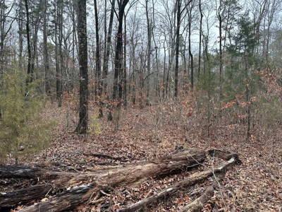 7.5 Acres For Sale, Heber Springs, AR near Greers Ferry Lake - image 10