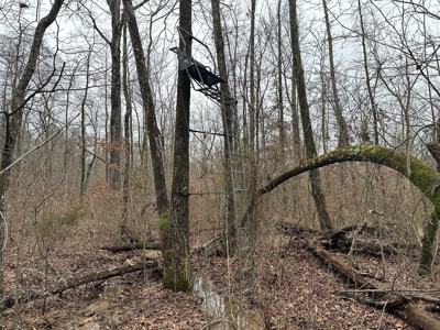 7.5 Acres For Sale, Heber Springs, AR near Greers Ferry Lake - image 11