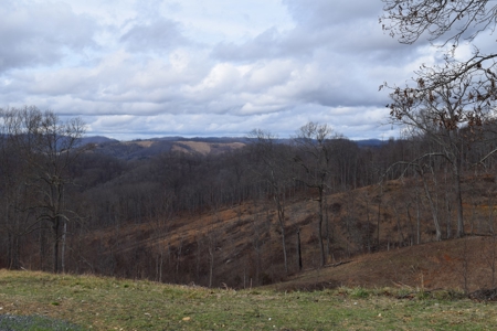 15.39 Acres with Clinch River Access in Hancock County, TN - image 3