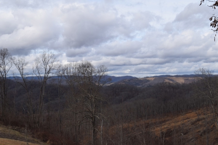 15.39 Acres with Clinch River Access in Hancock County, TN - image 7