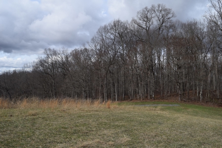 15.39 Acres with Clinch River Access in Hancock County, TN - image 25