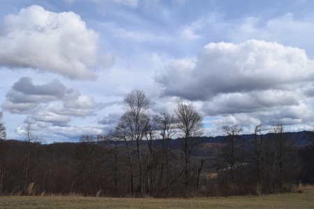 15.39 Acres with Clinch River Access in Hancock County, TN - image 26