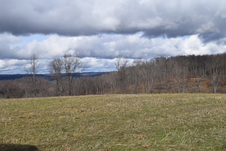 15.39 Acres with Clinch River Access in Hancock County, TN - image 10