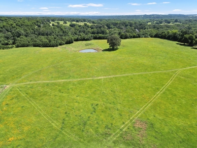East Texas Cattle & Horse Ranch for Sale Winona Smith County - image 7