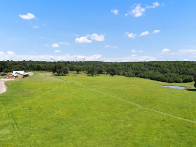 East Texas Cattle & Horse Ranch for Sale Winona Smith County - image 5