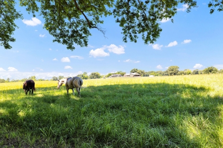 East Texas Cattle & Horse Ranch for Sale Winona Smith County - image 32