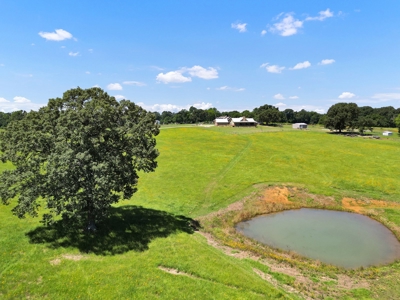 East Texas Cattle & Horse Ranch for Sale Winona Smith County - image 36