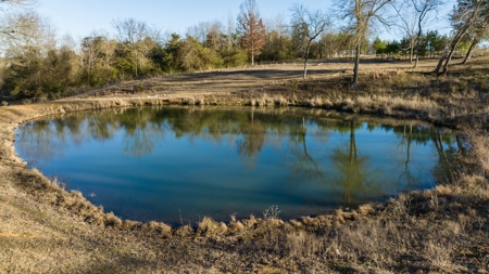East Texas Cattle & Horse Ranch for Sale Winona Smith County - image 37