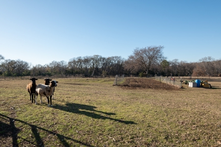 East Texas Cattle & Horse Ranch for Sale Winona Smith County - image 33