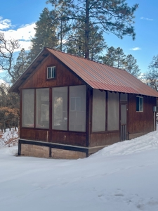Brazos Area Cabin for Sale on Acreage near Chama NM - image 19