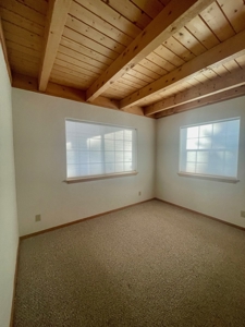 Brazos Area Cabin for Sale on Acreage near Chama NM - image 8