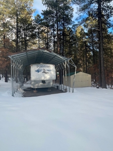 Brazos Area Cabin for Sale on Acreage near Chama NM - image 18
