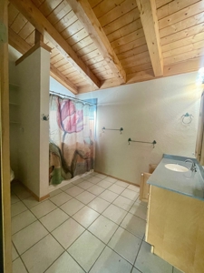 Brazos Area Cabin for Sale on Acreage near Chama NM - image 2
