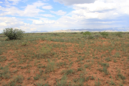 305+/- Acres of Land on Ash Creek, Pearce, AZ - image 13