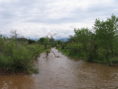305+/- Acres of Land on Ash Creek, Pearce, AZ - image 8