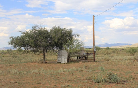 305+/- Acres of Land on Ash Creek, Pearce, AZ - image 5
