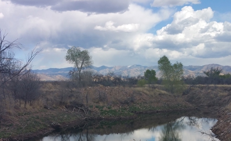 305+/- Acres of Land on Ash Creek, Pearce, AZ - image 11