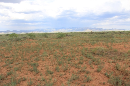 305+/- Acres of Land on Ash Creek, Pearce, AZ - image 14