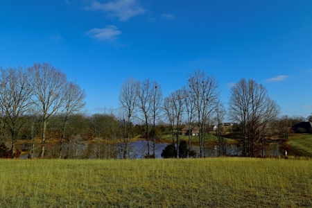 1+ Acre Lakefront Lot for Sale in Diamond Oaks, Trenton, TN - image 1