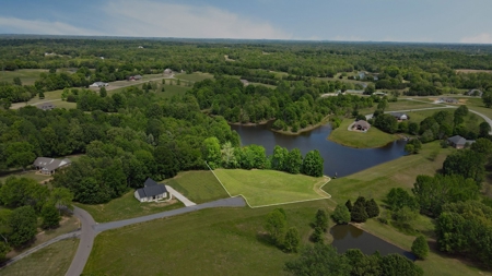 1+ Acre Lakefront Lot for Sale in Diamond Oaks, Trenton, TN - image 7