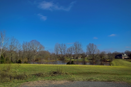 1+ Acre Lakefront Lot for Sale in Diamond Oaks, Trenton, TN - image 2