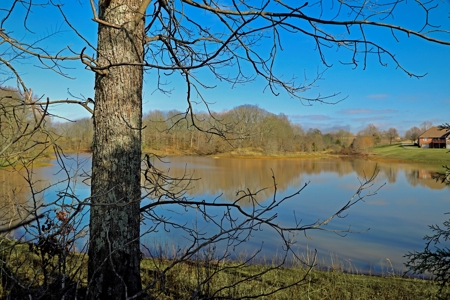 1+ Acre Lakefront Lot for Sale in Diamond Oaks, Trenton, TN - image 4