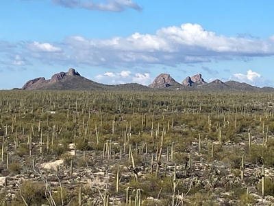 Online Auction -  5.04 Acre Ready To Build Lot, Marana, Az - image 16