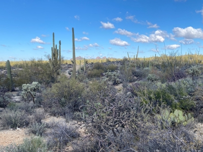 Online Auction -  5.04 Acre Ready To Build Lot, Marana, Az - image 6
