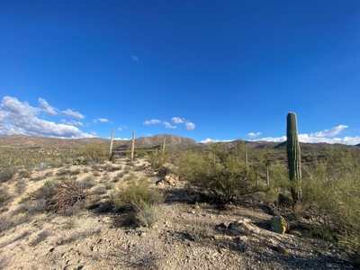 Online Auction -  5.04 Acre Ready To Build Lot, Marana, Az - image 15