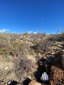 Online Auction -  5.04 Acre Ready To Build Lot, Marana, Az - image 11