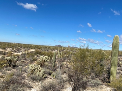 Online Auction -  5.04 Acre Ready To Build Lot, Marana, Az - image 9