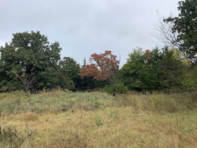 Hunting/Recreational Land For Sale - image 7