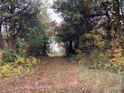 Hunting/Recreational Land For Sale - image 1