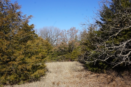 Hunting/Recreational Land For Sale - image 6