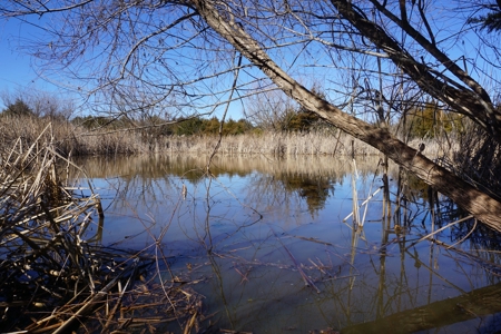 Hunting/Recreational Land For Sale - image 8
