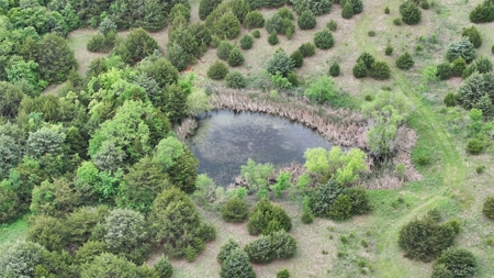 Hunting/Recreational Land For Sale - image 11