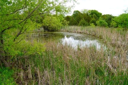 Hunting/Recreational Land For Sale - image 14