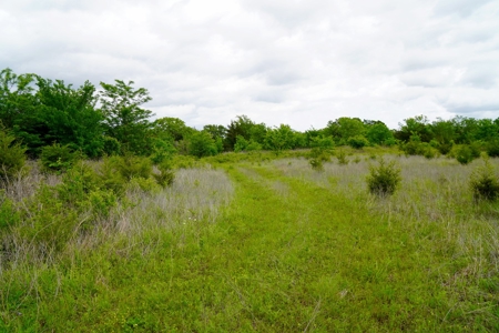 Hunting/Recreational Land For Sale - image 15