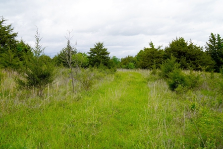 Hunting/Recreational Land For Sale - image 16