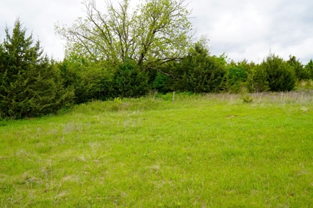 Hunting/Recreational Land For Sale - image 13