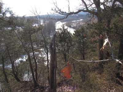 Kings River Development Potential 200+ Acre Farm And Home - image 14