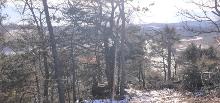 Kings River Development Potential 200+ Acre Farm And Home - image 2